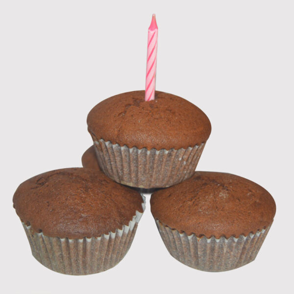 Chocolate Muffins